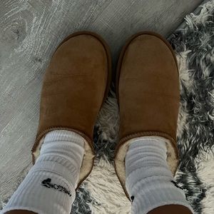 Chestnut Uggs
